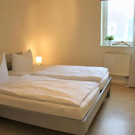 Seehund Am Schwarzen Busch