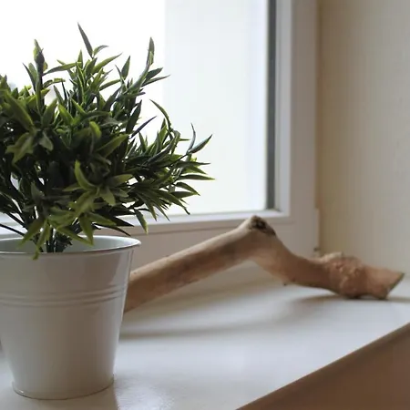 Seehund Διαμέρισμα