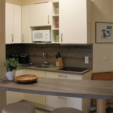 Seehund * Am Schwarzen Busch