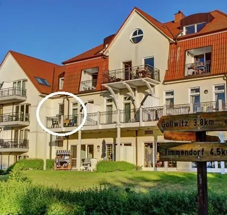 Seehund * Am Schwarzen Busch