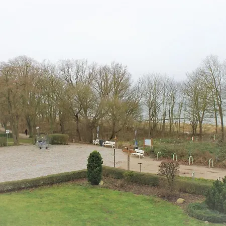 Seehund Am Schwarzen Busch