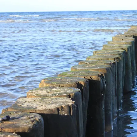 Seehund Διαμέρισμα *