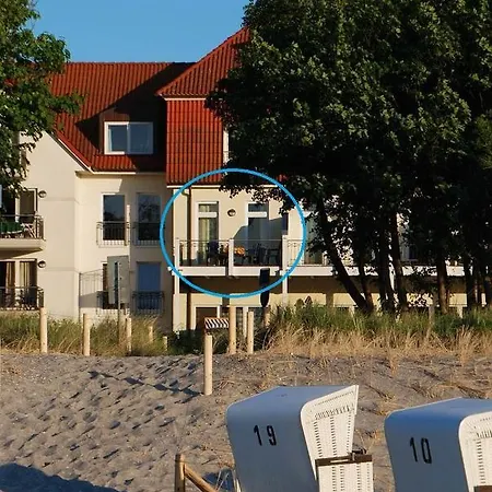 Seehund * Am Schwarzen Busch