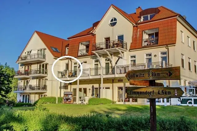 Seehund * Am Schwarzen Busch