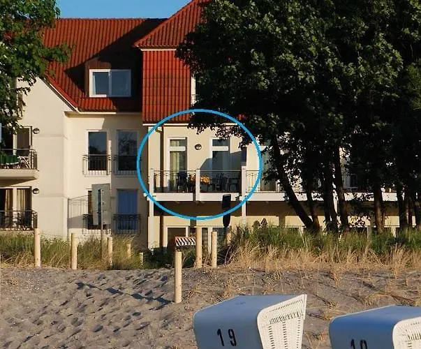 Seehund * Am Schwarzen Busch